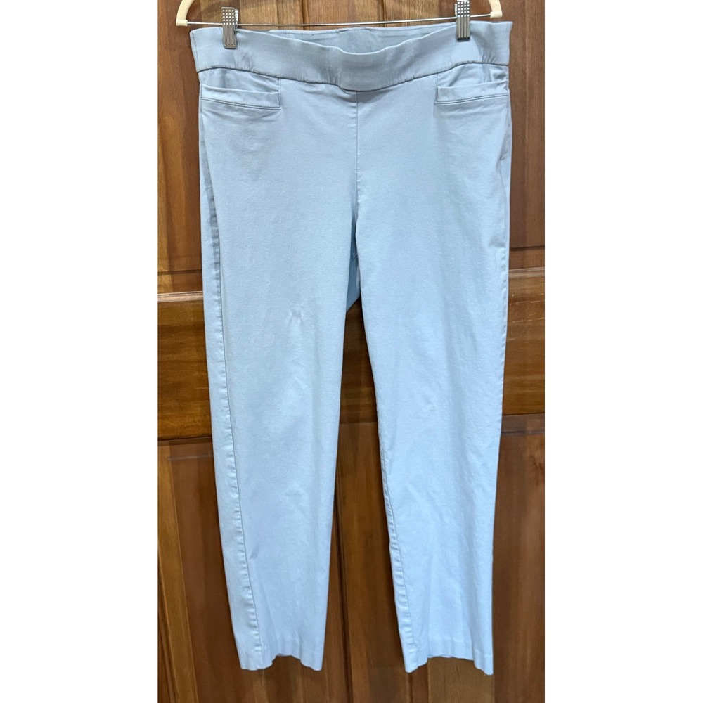 Briggs Petite Gray Comfort Waist‎ Pull On Pants Women's Size 16P EUC